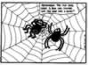 old spider