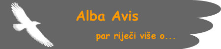 par rijeci vise
